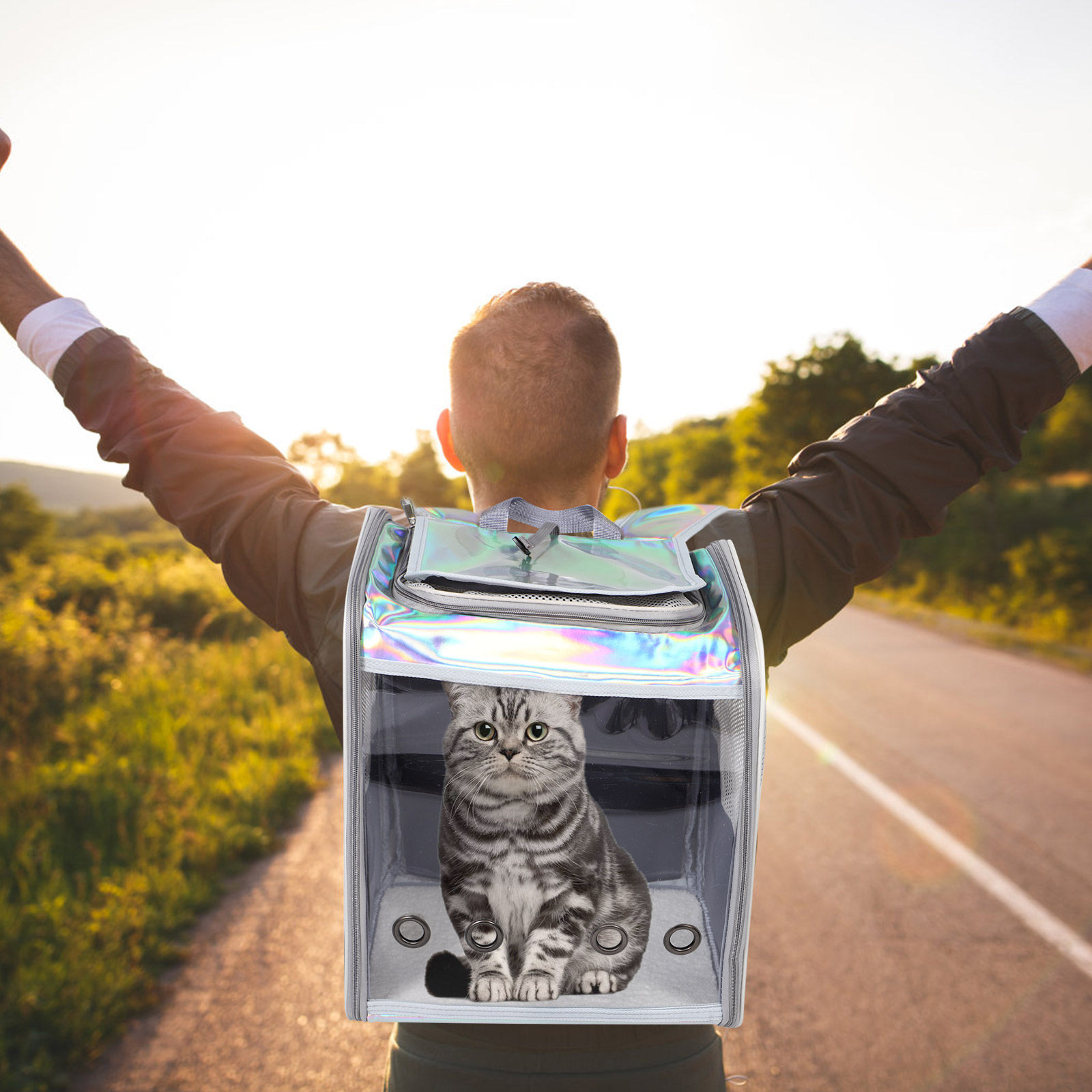 Spacious Foldable Pet Backpack - Foldable Backpack Small recensie en prijs