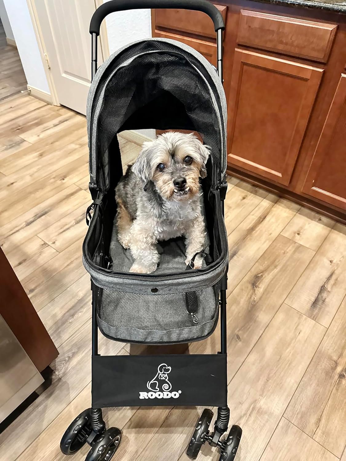 4 Wheel Dog Cat Pet Stroller,  - Foldable Backpack Small recensie en prijs