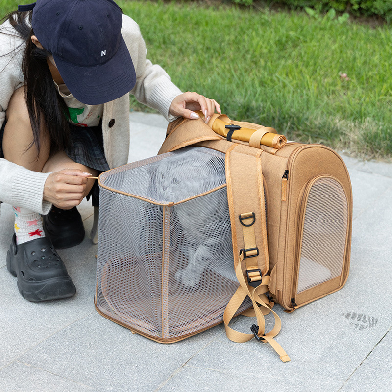 Portable cat bag, expandable l - Foldable Backpack Small recensie en prijs